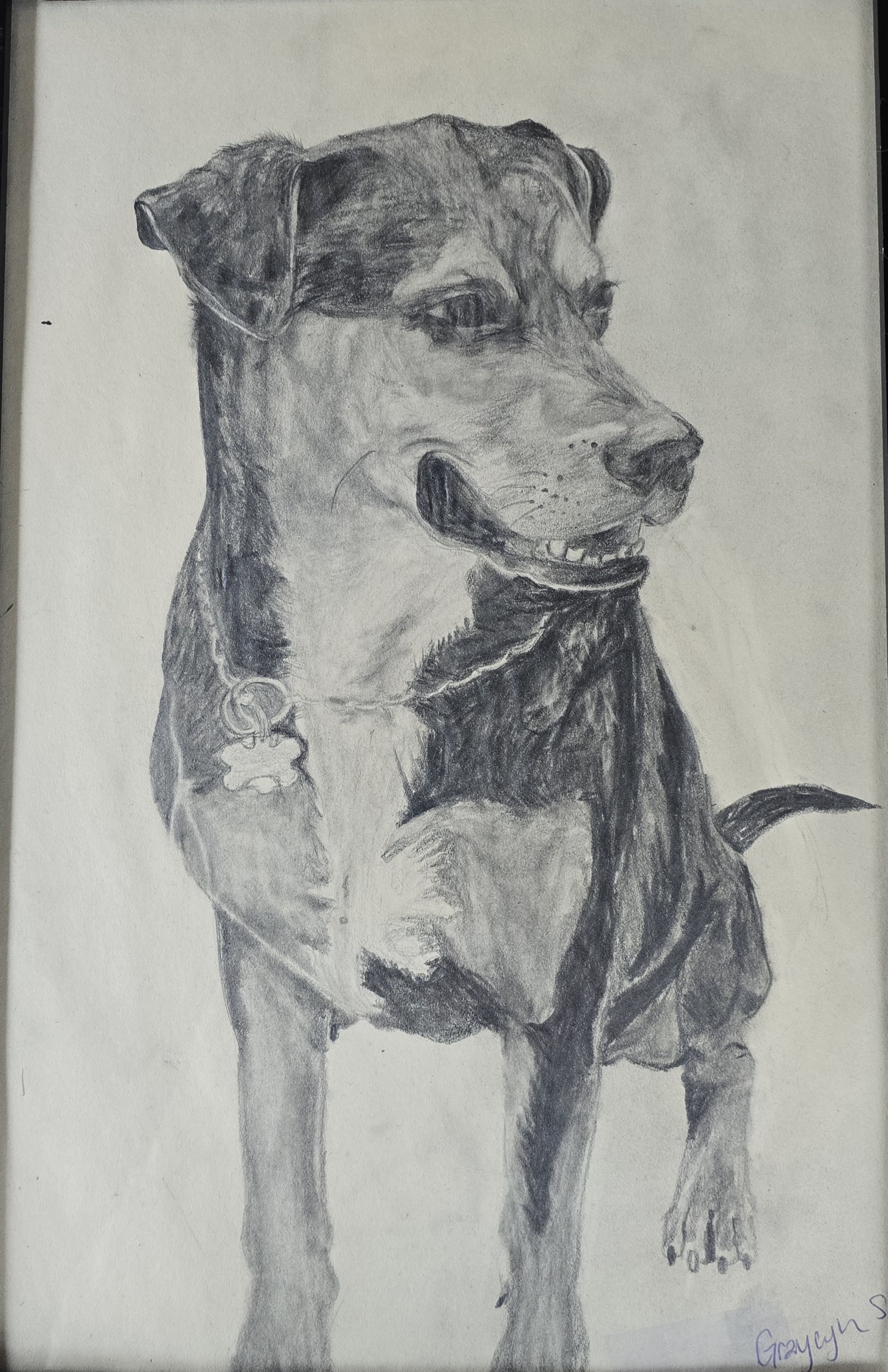 Graycyn
