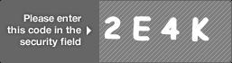 captcha code for visual authentication  number 2 letter E number 4 letter K
